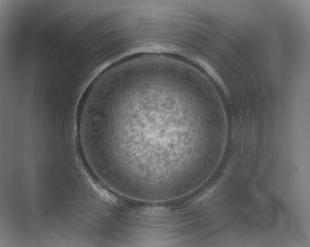 X0000075830837200609151236