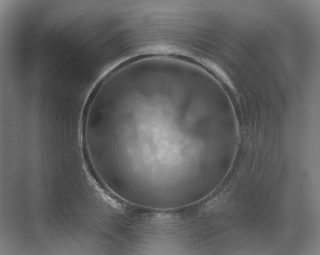 X0000075830839200609151236