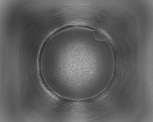 X0000075830840200609151236