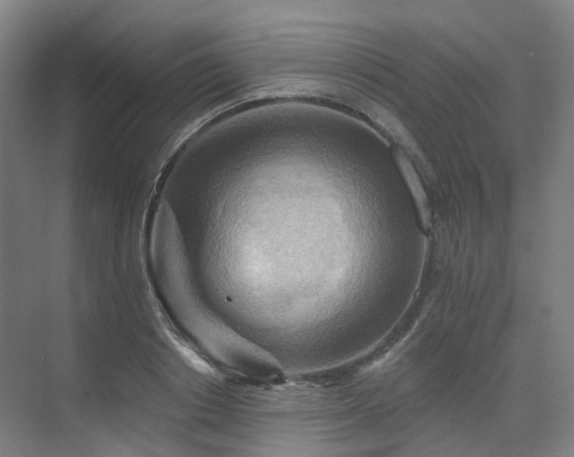 X0000075830842200609151236