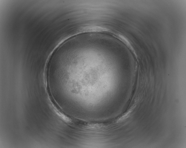 X0000075830843200609151236