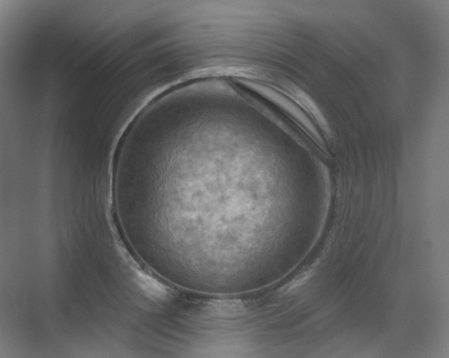 X0000075830844200609151236