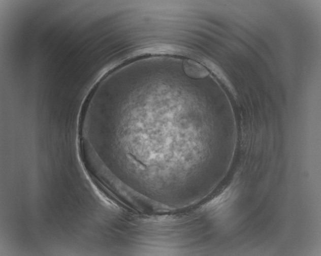 X0000075830845200609151236