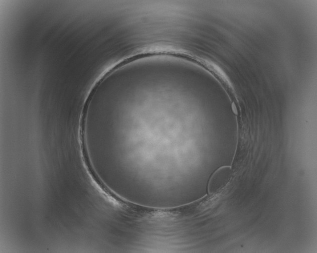 X0000075830847200609151236