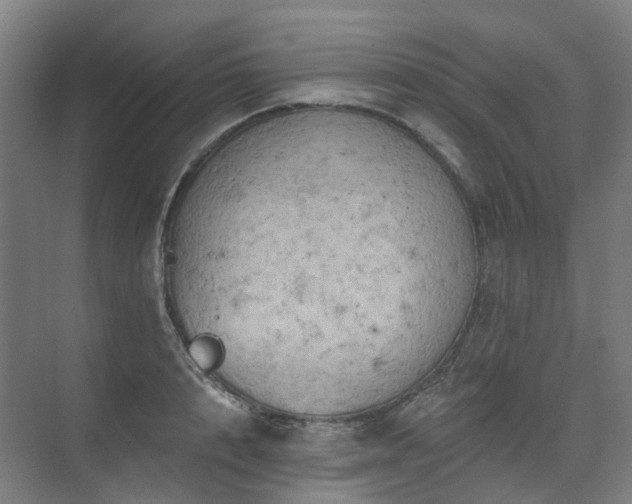 X0000075830848200609151236