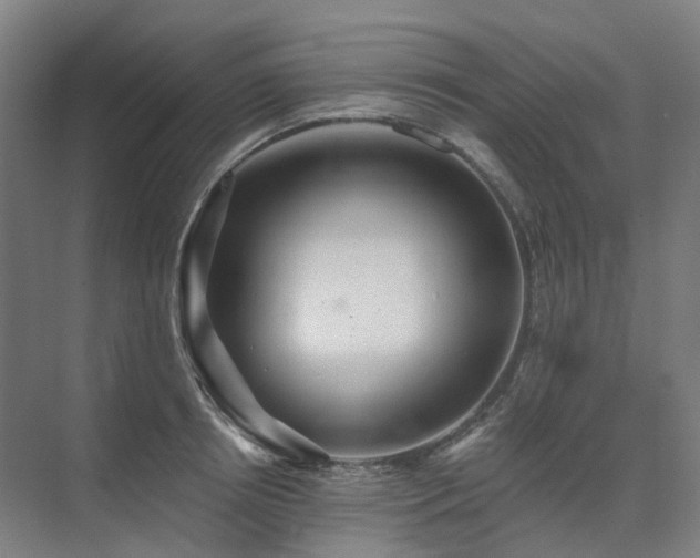 X0000075830850200609151236