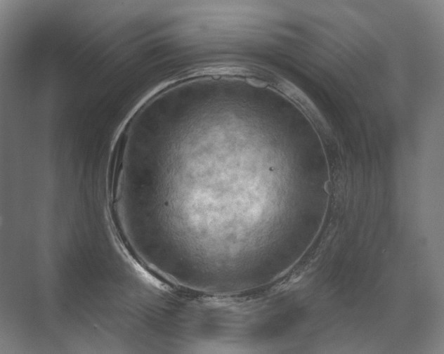 X0000075830852200609151236