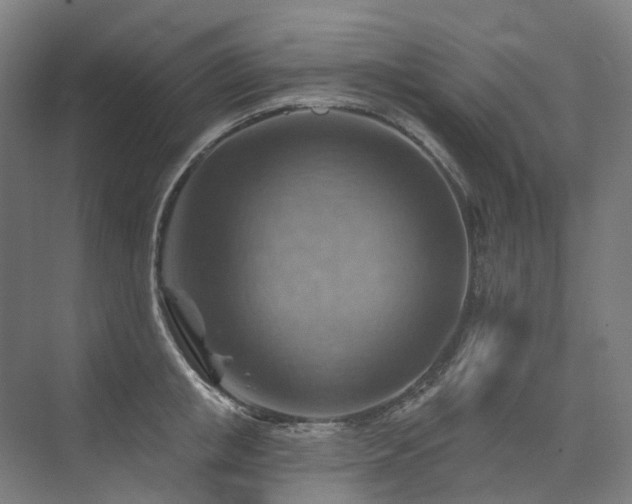 X0000075830853200609151236