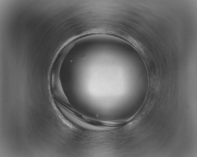 X0000075830854200609151236