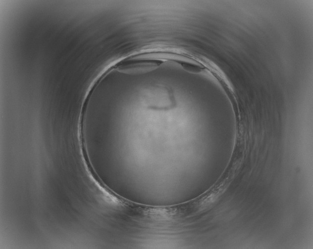 X0000075830855200609151236