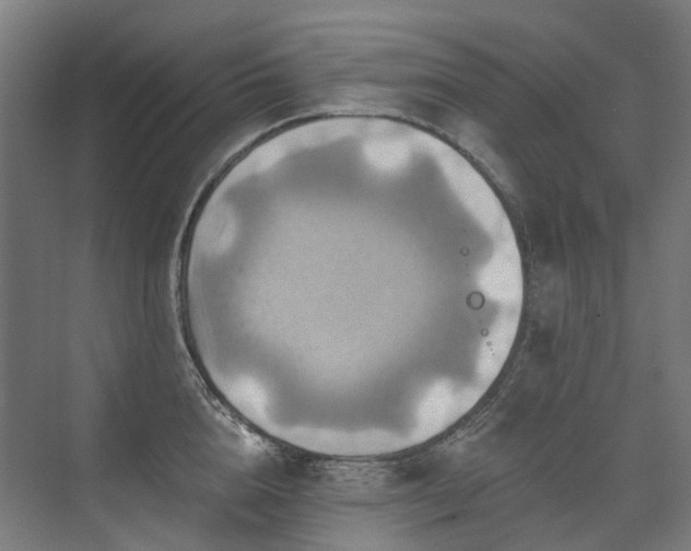 X0000075830856200609151236