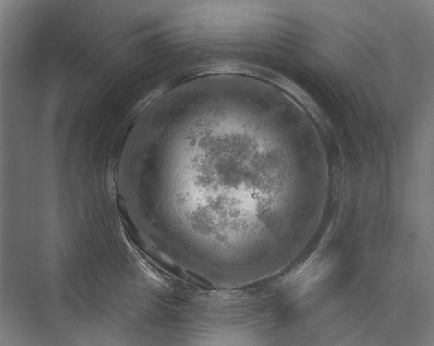 X0000075830857200609151236