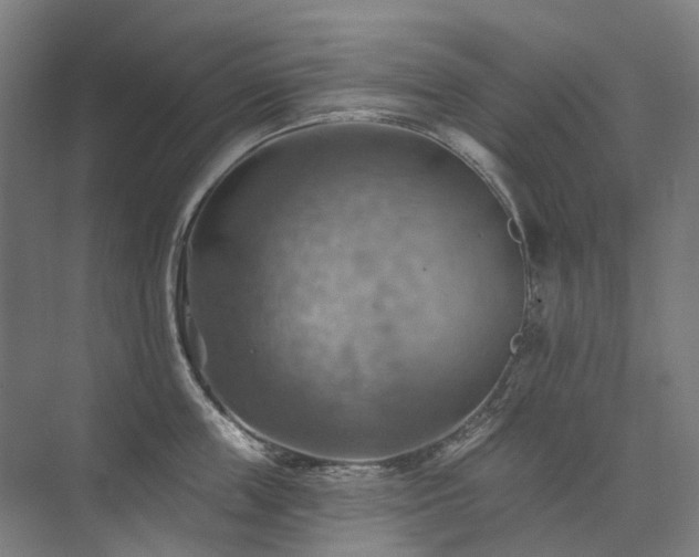 X0000075830859200609151237