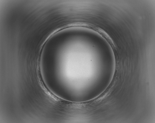 X0000075830860200609151237