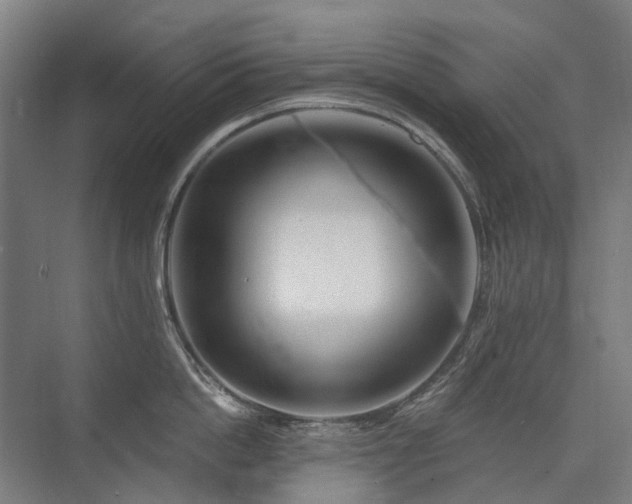 X0000075830862200609151237