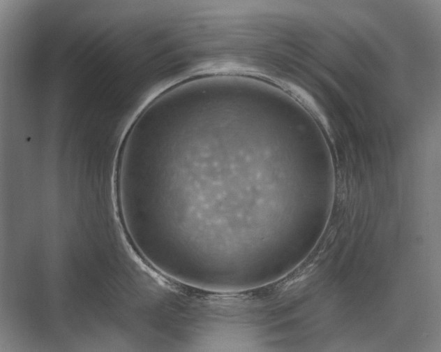 X0000075830863200609151237