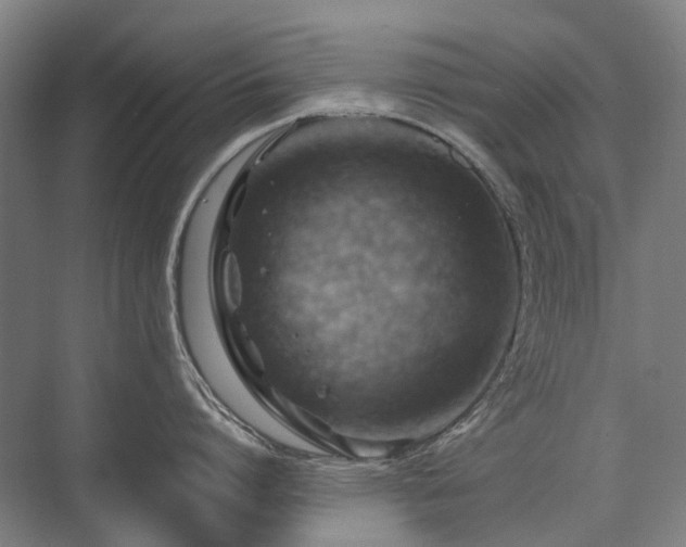 X0000075830864200609151237