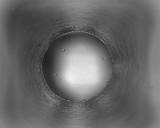 X0000075830865200609151236