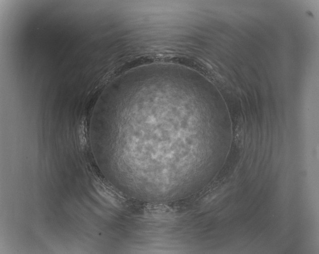 X0000075830866200609151236