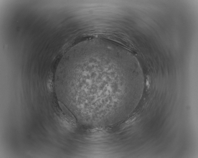 X0000075830867200609151236