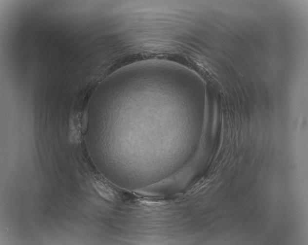 X0000075830868200609151236