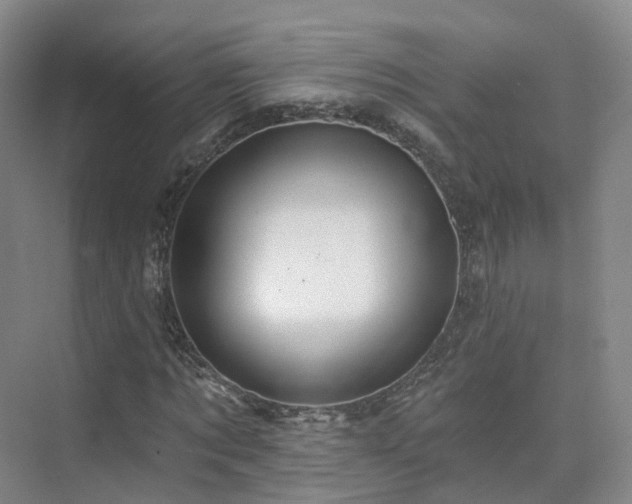 X0000075830869200609151236