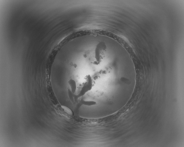 X0000075830871200609151236