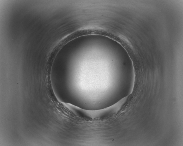 X0000075830872200609151236