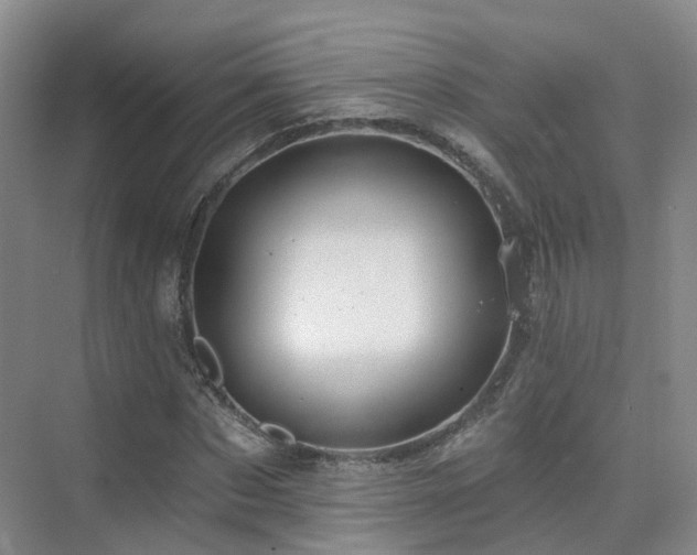 X0000075830873200609151236