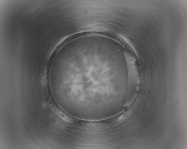 X0000075830875200609151236