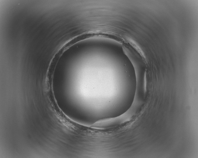 X0000075830876200609151236