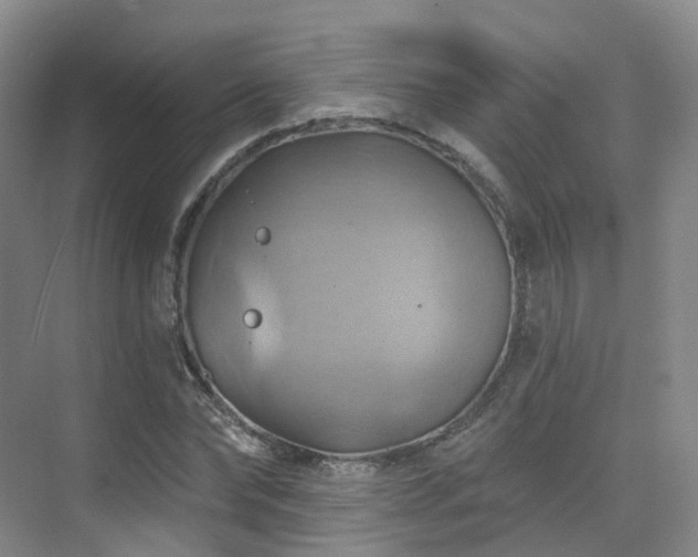 X0000075830878200609151236