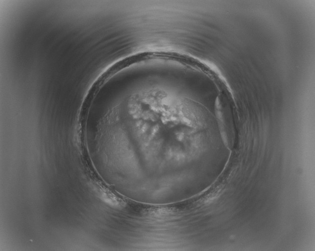 X0000075830879200609151236