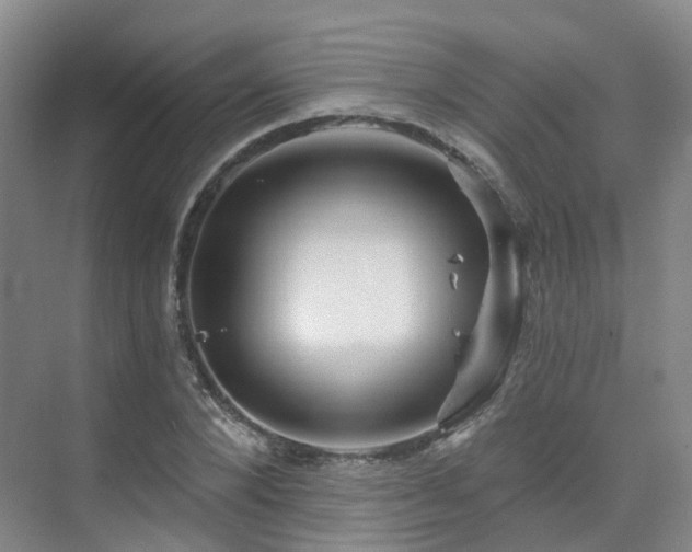 X0000075830880200609151236