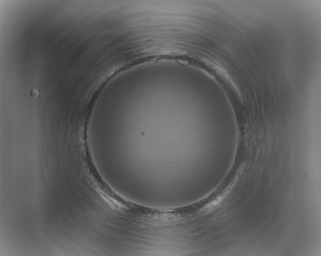 X0000075830881200609151236