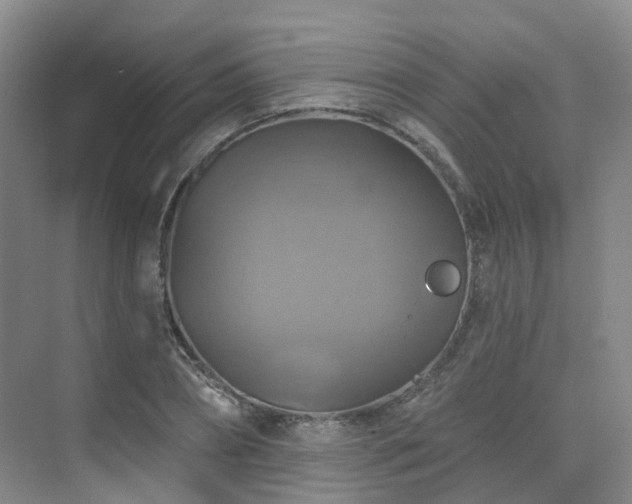 X0000075830882200609151236