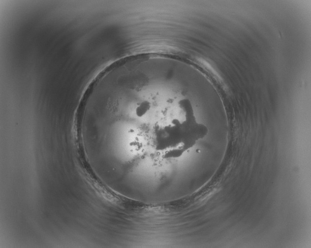 X0000075830883200609151235