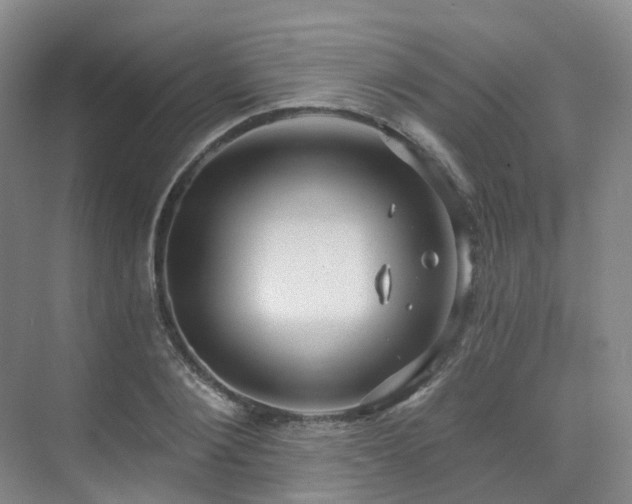 X0000075830884200609151235