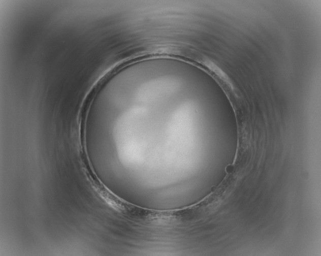 X0000075830886200609151235