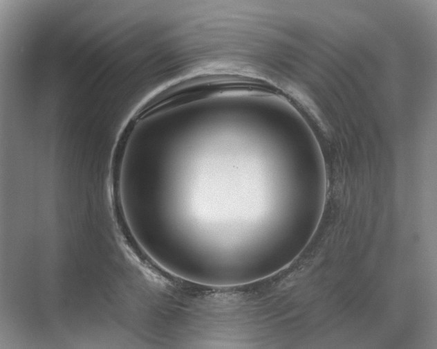 X0000075830888200609151235