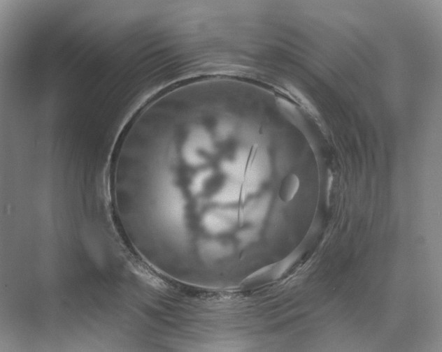 X0000075830891200609151235