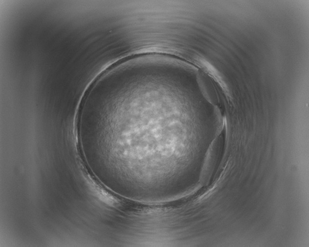 X0000075830892200609151235