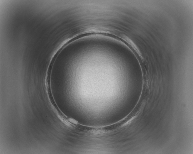 X0000075830893200609151235