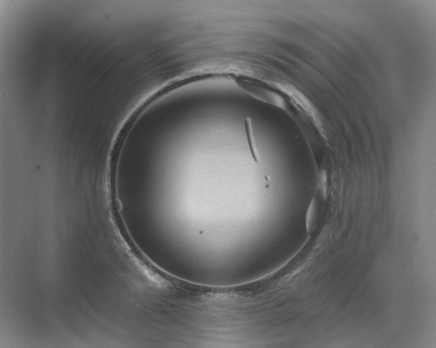 X0000075830894200609151235