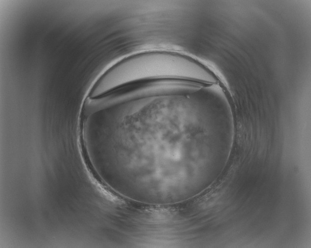 X0000075830895200609151235