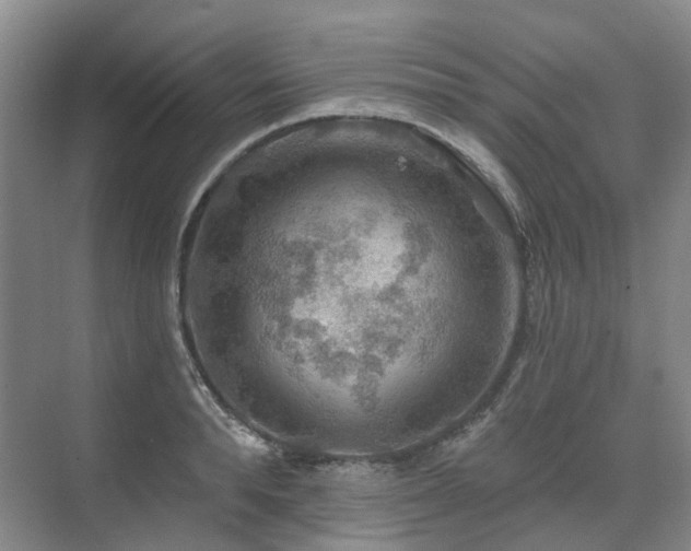 X0000075830896200609151235