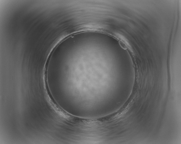 X0000075830899200609151235