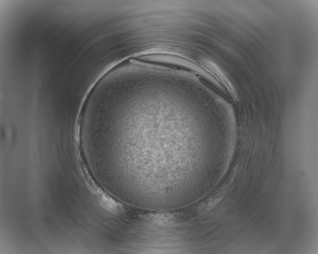 X0000075830900200609151235