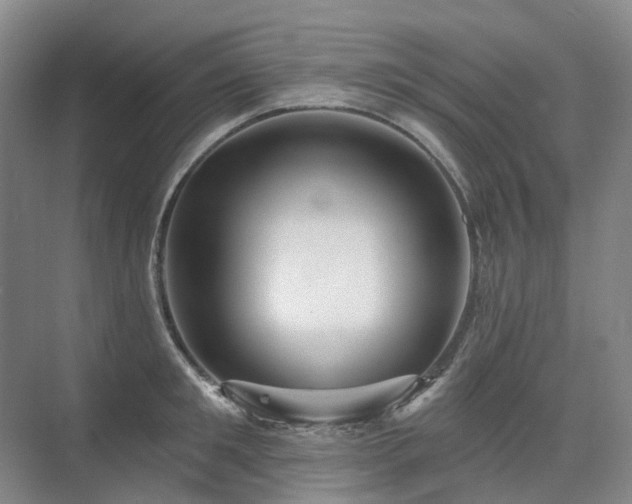 X0000075830901200609151235