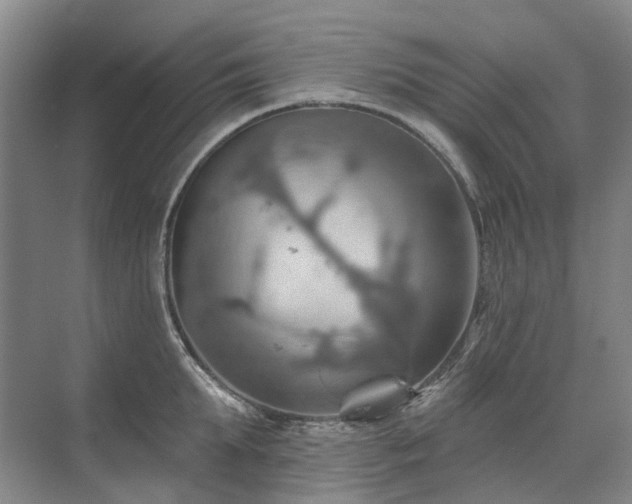 X0000075830903200609151235